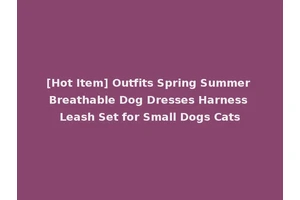 [Hot Item] Outfits Spring Summer Breathable Dog Dresses Harness Leash Set for Small Dogs Cats
