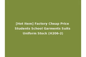 [Hot Item] Factory Cheap Price Students School Garments Suits Uniform Stock (H206-2)
