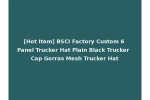 [Hot Item] BSCI Factory Custom 6 Panel Trucker Hat Plain Black Trucker Cap Gorras Mesh Trucker Hat