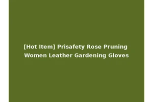 [Hot Item] Prisafety Rose Pruning Women Leather Gardening Gloves