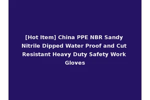 [Hot Item] China PPE NBR Sandy Nitrile Dipped Water Proof and Cut Resistant Heavy Duty Safety Work Gloves