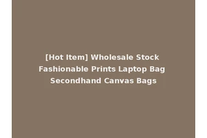 [Hot Item] Wholesale Stock Fashionable Prints Laptop Bag Secondhand Canvas Bags