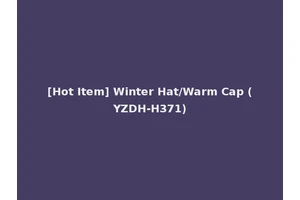 [Hot Item] Winter Hat/Warm Cap (YZDH-H371)