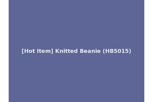 [Hot Item] Knitted Beanie (HB5015)