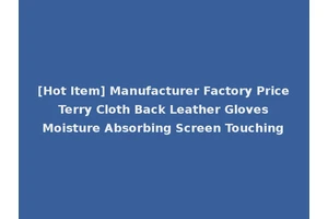 [Hot Item] Manufacturer Factory Price Terry Cloth Back Leather Gloves Moisture Absorbing Screen Touching