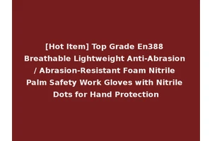 [Hot Item] Top Grade En388 Breathable Lightweight Anti-Abrasion / Abrasion-Resistant Foam Nitrile Palm Safety Work Gloves with Nitrile Dots for Hand Protection