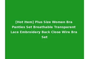 [Hot Item] Plus Size Women Bra Panties Set Breathable Transparent Lace Embroidery Back Close Wire Bra Set