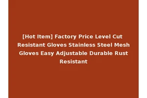 [Hot Item] Factory Price Level Cut Resistant Gloves Stainless Steel Mesh Gloves Easy Adjustable Durable Rust Resistant