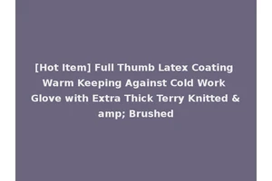 [Hot Item] Full Thumb Latex Coating Warm Keeping Against Cold Work Glove with Extra Thick Terry Knitted &amp; Brushed