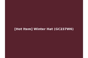[Hot Item] Winter Hat (GC237W6)