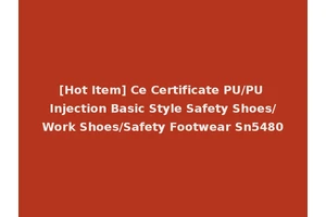 [Hot Item] Ce Certificate PU/PU Injection Basic Style Safety Shoes/Work Shoes/Safety Footwear Sn5480