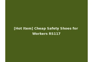 [Hot Item] Cheap Safety Shoes for Workers RS117