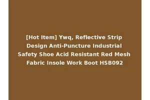 [Hot Item] Ywq, Reflective Strip Design Anti-Puncture Industrial Safety Shoe Acid Resistant Red Mesh Fabric Insole Work Boot HSB092