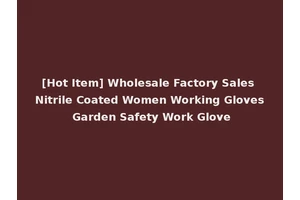 [Hot Item] Wholesale Factory Sales Nitrile Coated Women Working Gloves Garden Safety Work Glove