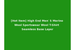 [Hot Item] High End Men′ S Merino Wool Sportswear Wool T-Shirt Seamless Base Layer