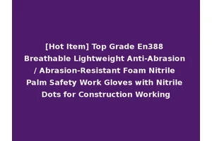 [Hot Item] Top Grade En388 Breathable Lightweight Anti-Abrasion / Abrasion-Resistant Foam Nitrile Palm Safety Work Gloves with Nitrile Dots for Construction Working