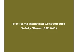 [Hot Item] Industrial Constructure Safety Shoes (SN1641)