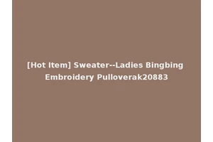 [Hot Item] Sweater--Ladies Bingbing Embroidery Pulloverak20883
