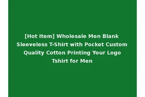 [Hot Item] Wholesale Men Blank Sleeveless T-Shirt with Pocket Custom Quality Cotton Printing Your Logo Tshirt for Men