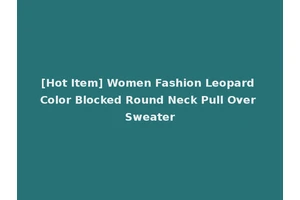 [Hot Item] Women Fashion Leopard Color Blocked Round Neck Pull Over Sweater