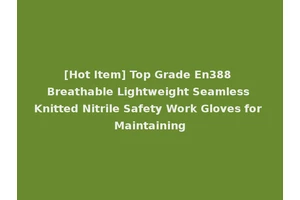 [Hot Item] Top Grade En388 Breathable Lightweight Seamless Knitted Nitrile Safety Work Gloves for Maintaining