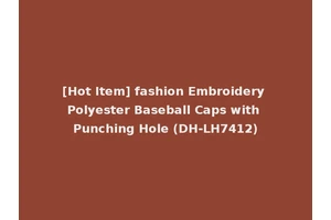 [Hot Item] fashion Embroidery Polyester Baseball Caps with Punching Hole (DH-LH7412)