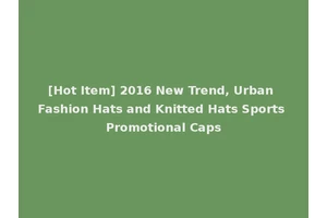 [Hot Item] 2016 New Trend, Urban Fashion Hats and Knitted Hats Sports Promotional Caps