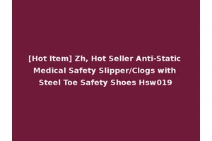 [Hot Item] Zh, Hot Seller Anti-Static Medical Safety Slipper/Clogs with Steel Toe Safety Shoes Hsw019
