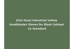 [Hot Item] Industrial Safety Sandblaster Gloves for Blast Cabinet Ce Standard