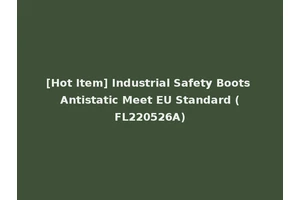 [Hot Item] Industrial Safety Boots Antistatic Meet EU Standard (FL220526A)