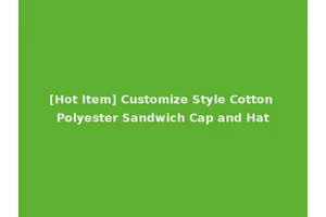 [Hot Item] Customize Style Cotton Polyester Sandwich Cap and Hat