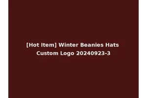 [Hot Item] Winter Beanies Hats Custom Logo 20240923-3