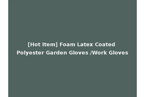 [Hot Item] Foam Latex Coated Polyester Garden Gloves /Work Gloves