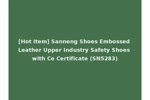 [Hot Item] Sanneng Shoes Embossed Leather Upper Industry Safety Shoes with Ce Certificate (SN5283)
