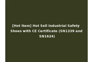 [Hot Item] Hot Sell Industrial Safety Shoes with CE Certificate (SN1339 and SN1624)