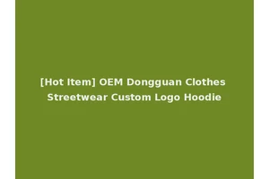 [Hot Item] OEM Dongguan Clothes Streetwear Custom Logo Hoodie