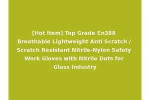 [Hot Item] Top Grade En388 Breathable Lightweight Anti Scratch / Scratch Resistant Nitrile-Nylon Safety Work Gloves with Nitrile Dots for Glass Industry