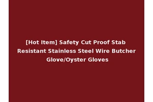 [Hot Item] Safety Cut Proof Stab Resistant Stainless Steel Wire Butcher Glove/Oyster Gloves