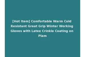 [Hot Item] Comfortable Warm Cold Resistant Great Grip Winter Working Gloves with Latex Crinkle Coating on Plam