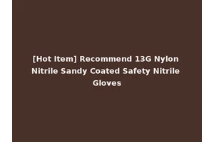[Hot Item] Recommend 13G Nylon Nitrile Sandy Coated Safety Nitrile Gloves