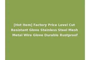 [Hot Item] Factory Price Level Cut Resistant Glove Stainless Steel Mesh Metal Wire Glove Durable Rustproof