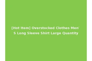 [Hot Item] Overstocked Clothes Men′ S Long Sleeve Shirt Large Quantity