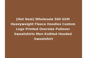 [Hot Item] Wholesale 500 GSM Heavyweight Fleece Hoodies Custom Logo Printed Oversize Pullover Sweatshirts Men Knitted Hooded Sweatshirt