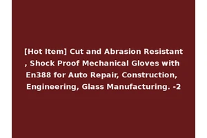 [Hot Item] Cut and Abrasion Resistant, Shock Proof Mechanical Gloves with En388 for Auto Repair, Construction, Engineering, Glass Manufacturing. -2