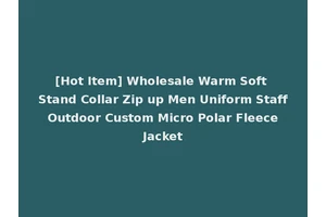 [Hot Item] Wholesale Warm Soft Stand Collar Zip up Men Uniform Staff Outdoor Custom Micro Polar Fleece Jacket