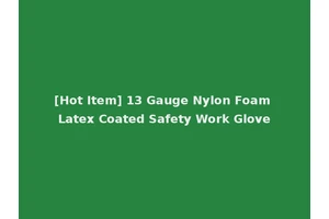 [Hot Item] 13 Gauge Nylon Foam Latex Coated Safety Work Glove
