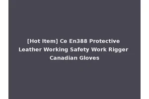 [Hot Item] Ce En388 Protective Leather Working Safety Work Rigger Canadian Gloves