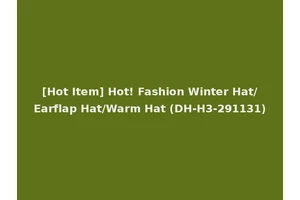 [Hot Item] Hot! Fashion Winter Hat/Earflap Hat/Warm Hat (DH-H3-291131)