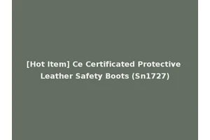 [Hot Item] Ce Certificated Protective Leather Safety Boots (Sn1727)