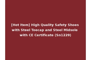 [Hot Item] High Quality Safety Shoes with Steel Toecap and Steel Midsole with CE Certificate (Sn1229)